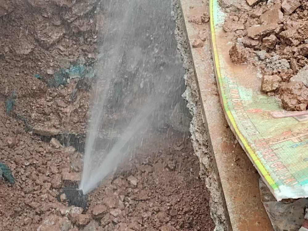 消防水管漏水检测定点开挖哪家好-尼玛
